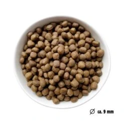 Eat Small EatSmall 10kg Mini Balance Trockenfutter -Happy Hund 022311929b7a668588c438a801ffcb397cc4f6a5 1450724 de DE ef1a1257b12edf1ce0a516e027bab83024c70daeCWb9u6