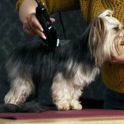 Moser Schermaschine Typ 1400 11 Moser Schermaschine Typ 1400 -Happy Hund 02df9a45ad10057f7cdfbb122412b44ddb24fd91 7c7f90f149fd71377858189c53a8f5cca4170f60