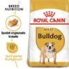 ROYAL CANIN Bulldog Adult 3 Kg -Happy Hund 035c779d0bc473424b69e50be865046cfd5e3a89 9a657e603cc6a8087d770549b84f4386e8a65143