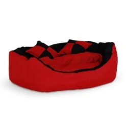 Lionto 4-in-1 Hundebett S -Happy Hund 05ed03aef083e6e5d9080bfe44eca49fbfa416b8 1665900 de DE 6b32ee59603d7b2b1475b96b0c2a7e6f34c1c0755rDeLG
