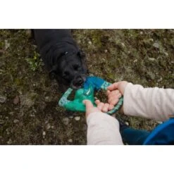 Ruffwear Pacific Ring™ Spielzeug Blau/ Türkis -Happy Hund 07365c8c03348a7be23ff66a31807695c41eac94 1444351 de DE bb2133baab48cb1d262b89fa47f175638eb3f7fcb9JpcH
