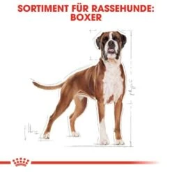 ROYAL CANIN Boxer Adult 12 Kg -Happy Hund 0a1e579b39821652565758b5ee804a79a6bf8957 9d8dd228dff8f4c8af80f6f9491d9cdf53626cb6
