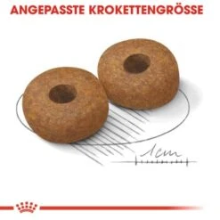 ROYAL CANIN Medium Ageing 10+ 15 Kg -Happy Hund 0a453b86a84d0380c5d152e81e85c4fc2e5494ce c4a51033500711901bbb965ddf12b16b9f8c074f