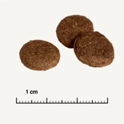 REAL NATURE Country Selection Andalusia Rind Mit Spanischem Kaninchen 12 Kg -Happy Hund 0a7fce7b39ad9a46e9b5bd24525cc5f14df99cb4 1325173 de DE 6