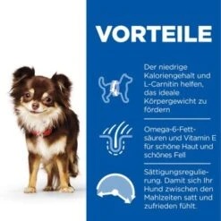 Hill's Science Plan Small & Miniature Light Adult 1+, Huhn 1,5 Kg -Happy Hund 0ad20a701951844a1c2fc190e42b91d454dc7645 52742024745 4