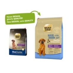 SELECT GOLD Sensitive Maxi Junior Lamm/Lachs/Kartoffel 4 Kg -Happy Hund 13d7b2821f38db07d2e02507fe737c487cb22eec 1001718003 1