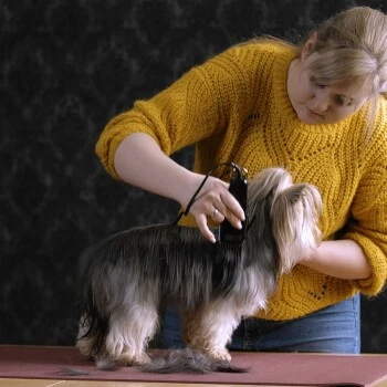 Moser Schermaschine Typ 1400 7 Moser Schermaschine Typ 1400 – Bild 5