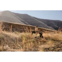 Ruffwear Hover Craft™ Spielzeug Orange -Happy Hund 15670c7f824cb67257971dca32974b68eba14a2f 1364297 de DE f53c4ca5615bcabb9ccbd712339b8f568f29402frPrk2m