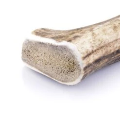 Larsson Geweih L Ca. 120-160g -Happy Hund 16628a63cb387a462d77cd608be46a48db5f4900 1057933 de DE 747de37a3b9f5850a9906915adf22030bae8f825ucH14V