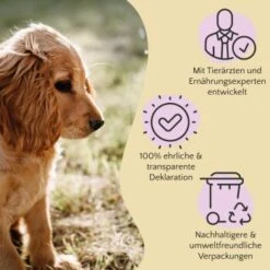 FAVLY Petfood Premium Naturkauartikel Kaninchenohren Mit Fell 360 G -Happy Hund 1723031773900f8974b6582f7b858aabe5129f6d 1473998 de DE 803a18d1981b28cac6cbf941640c9f1c7007ec8b2gtdU1