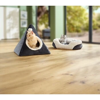 AniOne Höhle Luna 4 AniOne Höhle Luna – Bild 2