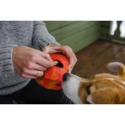 Ruffwear Gnawt-a-Rock™ Spielzeug Blau -Happy Hund 18a32f6fd206d1a1fd4df8bb6663cd33f769d9d5 1639879 de DE b243dd683d9144eaac7a8d1e460c634ef96ee8c8AtipD6