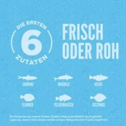 Orijen Six Fish 2 Kg -Happy Hund 18db2a59a7ef238af6ff7da7fe1f8909b160ad69 1261028 de DE ORI Six Fish Dog Carousel 2000x2000 DE2 4