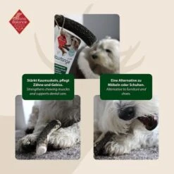 ChronoBalance Rothirsch Geweihstange Halbiert 200 G -Happy Hund 1a58e8f582c32db507bf2b59f7102b4e53fcf8aa 1409523 de DE 810c782a3d9bc3e096f3160dd411932a953891a4IHcaz7