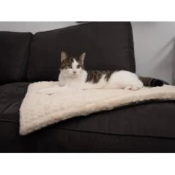 TrendPet Heaven Gefütterte Liegedecke Beige XS -Happy Hund 1cbcc70fb52cad4d647f2839fe0bd973c70c3194 1247692 de DE afe399b6e05ab9a3bb6e2580fd9749db565c2c4d5SMNrr