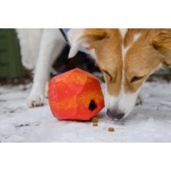 Ruffwear Gnawt-a-Rock™ Spielzeug Blau -Happy Hund 1df4ce0c3e2b13b9dde849014a9b4637ff5fbf94 1639879 de DE 625c8d7bd239fd4e64b055b3b2574c1b5400a391xF45nb