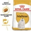 ROYAL CANIN Maltese Adult 1,5 Kg 1,5 Kg -Happy Hund 1efd7b2b7e3ebf49172e66d3fe4c0908b6bce733 cb8d18a869e8335b30096ce03d2f03149d984151