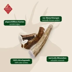 ChronoBalance Geweih Ganz (XL) 2er Paket 13 ChronoBalance Geweih Ganz (XL) 2er Paket -Happy Hund 227b4896b023f1721ec9ccfcda37ed549cced470 1418693 de DE 97f6faa2e066481717c6e9970bb381a3824303b8vU2fW5