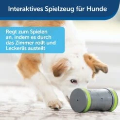 PetSafe Selbstbewegendes Belohnungsspielzeug Kibble Chase -Happy Hund 232030f86f814de36b46e922b9019b2a80aa0a4a 1418726 de DE cabfebb8ef64f9f8a7009d6c5080cb046558ff00b0jRo2