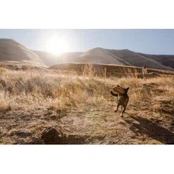 Ruffwear Hover Craft™ Spielzeug Orange -Happy Hund 23f3ce0fb188e4f5a253007adc90481d6747961b 1364297 de DE e44fe3627eb338195cfdd7c589598a8edb05def2xpzXS1