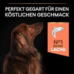 PRO PLAN Optiderma Small & Mini Adult Sensitive Skin 3 Kg -Happy Hund 24fea738853bcb740899bd0177404be765200d61 1206421 5