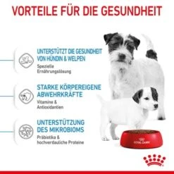 ROYAL CANIN Mini Starter 4 Kg -Happy Hund 26b60efd06ae3b4d0243fe6be53aa26cce422d3d 24bdbd0f35c05770bd7d9069390781e92d02d4c1