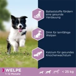 EUKANUBA Puppy Small & Medium Breed Lamm & Reis 12kg -Happy Hund 2772d35423acf2340a4f8745c55b089236e57aa4 b883c3e2067227b00037443261fa8b7e4684cd07