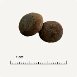 SELECT GOLD Sensitive Maxi Junior Lamm/Lachs/Kartoffel 4 Kg -Happy Hund 28af395c49e943aa9ab48faf021ceebb2dad145e 1001718003 de DE 6