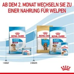 ROYAL CANIN Medium Starter 15 Kg -Happy Hund 323c948a6eab33359f3e5764f6ff7e36767b7df3 63bcd70a2b109cfaa9c260c3910751bd53fef802