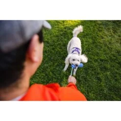 Ruffwear Gourdo™ Spielzeug S Grün -Happy Hund 340d5a3cda4bb7c7215d03f2d69aea1fb532027d 1639795 de DE dcb292407c796db89093f35e704145b6700aa2deFjWC0G