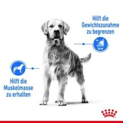 ROYAL CANIN Light Weight Care Maxi 12 Kg 17 ROYAL CANIN Light Weight Care Maxi 12 Kg -Happy Hund 3420e395ded3d89391d4817244d7dc03ba33daa9 1376170 de DE aoks 4