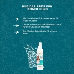 MediDog Dental Fresh & Clean -Happy Hund 343cceef613c074ed5b447a70d31269a870cf15d 1499660 de DE f2641cc7f5b00beb77fbbf61330ce24716292663yYZq7c