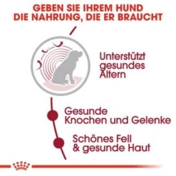 ROYAL CANIN Medium Ageing 10+ 15 Kg -Happy Hund 35439b8991bb238cb34fa70ccac51c3234fae357 36aa1650a1aa302f839e41250cfe840f4a638243