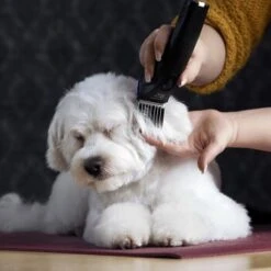 Moser Schermaschine Arco Pro -Happy Hund 365e29754c538dcc259069da0cc9793e69d0b654 8ffdd5bc19f3a136ec865d6030d040722a7ad1c3