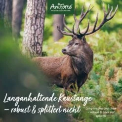 Aniforte Hochland Hirschgeweih Large -Happy Hund 39f2a5ff6e53888c8c1695f466ea6e43e64cad4b 1656976 de DE 99c99505097d02177ff254d85e1c4aff420ff4f7Vy9IA6