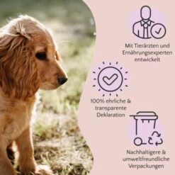 FAVLY Petfood Premium Naturkauartikel Rinderpansen 1,05 Kg -Happy Hund 3c7dea888d41e787be14f9a3e7d3063c7c5e0f1d 1475220 de DE a2c9f8d86d80fc90ca8f9c923a08051ec130ef8dgxl8xk