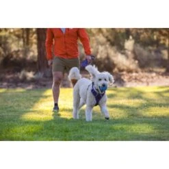 Ruffwear Huckama™ Spielzeug Violett -Happy Hund 3c9858f23e189df169fef8e6b079b9b80afe5185 1639706 de DE 22affde3e5114f0c2b5db19a77f0508968440a74megCgS