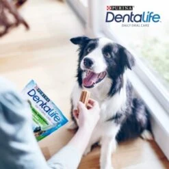 DentaLife PURINA Hunde Zahnpflege-Snacks Großpackung Medium, 84x -Happy Hund 3d22bf74a99660236ce1548620fac8aa3ac8818f 7dac1d18ca011066644ad899fee9fa3bcb5974f5