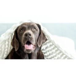 Mammaly Relax Time 110g 15 Mammaly Relax Time 110g -Happy Hund 3dd35fe2b92d8dcd6709afd1b3b41791517f9181 1472888 4