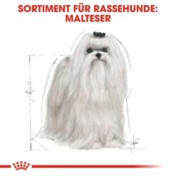 ROYAL CANIN Maltese Adult 1,5 Kg 1,5 Kg -Happy Hund 3eeb7f69af147bc5f04c404f6669c7f0a526e99c 337199db195a0656d970493cf83194fff6f65266