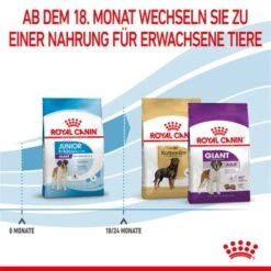 ROYAL CANIN Giant Junior 15 Kg -Happy Hund 3f0f320cf0514c60e2d60f64a366dd987cd444ca 3182550707077 7