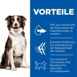 Hill's Science Plan Healthy Mobility Medium Breed Adult 1+ Mit Huhn 14 Kg -Happy Hund 3fcaebf69525b009c44756b18933a850b2f3883d 52742026138 4