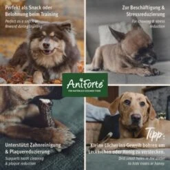 Aniforte Hochland Hirschgeweih Large -Happy Hund 42055a2e1356dde0019593301c7d462f360c52a9 1656976 de DE d84b86f6c0b56d89b1a6d4b4d04765e994dd1b4c1pPLff