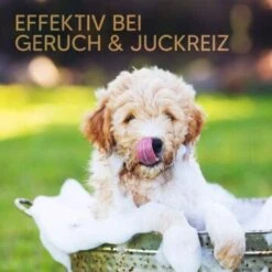 Pawlie's Welpenshampoo -Happy Hund 42f9c58257fb2002e5c33c2d81bd829c9adeb1cc 1626204 de DE 8b17d3990cf88ea437c76c60b6848183bc9636a5a44ihJ