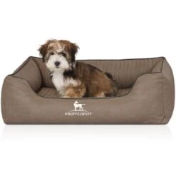 Knuffelwuff Orthopädisches Hundebett Columbia Aus Laser-gestepptem Kunstleder Stone Clay M-L 9 Knuffelwuff Orthopädisches Hundebett Columbia Aus Laser-gestepptem Kunstleder Stone Clay M-L -Happy Hund 47c92a57602f687c6095d53b46b9ef5c222ec6db 1411988 de DE 7d0d998f7e88952033b06ef3262d7d150f2bedf5NmxHjF