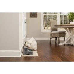 PetSafe Trinkbrunnen 1,8 L 13 PetSafe Trinkbrunnen 1,8 L -Happy Hund 484de61453224845441431d971ad092ecb02669d 1323706 3