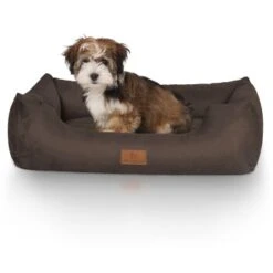 Knuffelwuff Hundebett Dreamline Aus Velours Braun M-L -Happy Hund 4874a718fee5f0bdcb64f710c17c88a67ef28955 1411758 de DE dafae6b74b3af75ee424a346e8806ecd50415f171FsFRH