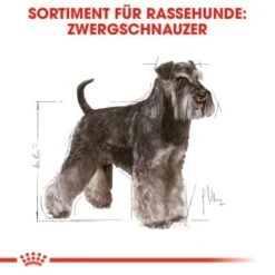 ROYAL CANIN Zwergschnauzer Adult 3kg -Happy Hund 4b254e5382fabcd23f48acb6657e77713d8a691f 070e96f3f4004e947ccdcc877c4e123371366cdd