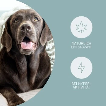 Mammaly Relax Time 110g 4 Mammaly Relax Time 110g – Bild 2