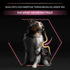 PRO PLAN Optiderma Medium Adult Sensitive Skin 14 Kg -Happy Hund 553403db249db42becb171390833d151dc763305 1206429 5